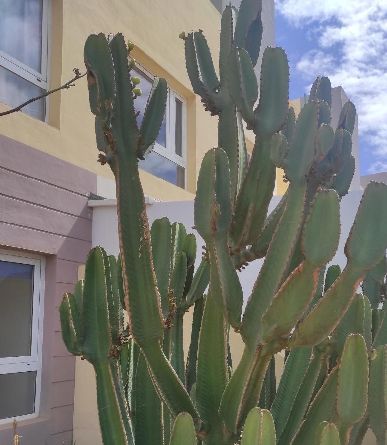 Apartamento Con Azotea Privada #Thefunnycactus Apartment Puerto del Rosario  Luaran gambar